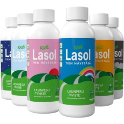 LASOL SUVINE KLAASIPESU KONTSENTRAAT PUTUKA 1:50 100ML  4-5L