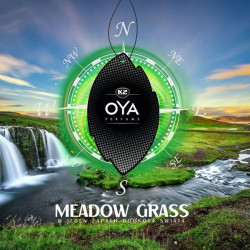 K2 OYA MEADOW GRASS ÕHUVÄRSKENDAJA